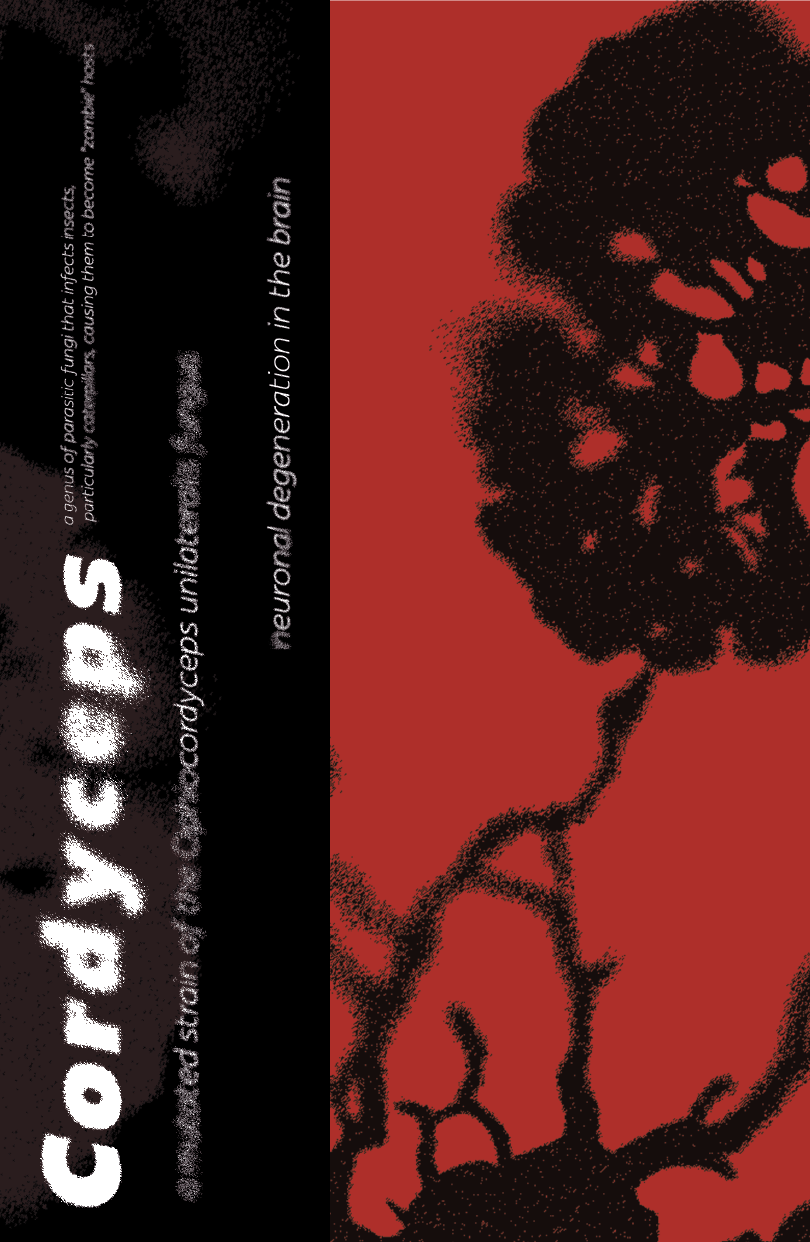 Cordyceps